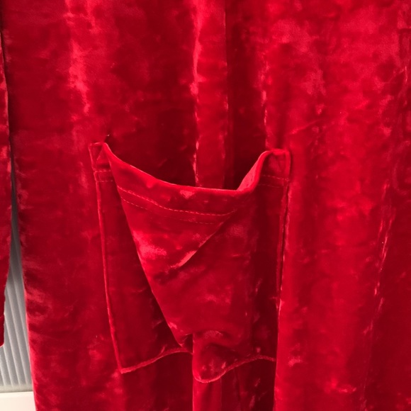 Red Velvet Dress - Picture 5 of 6